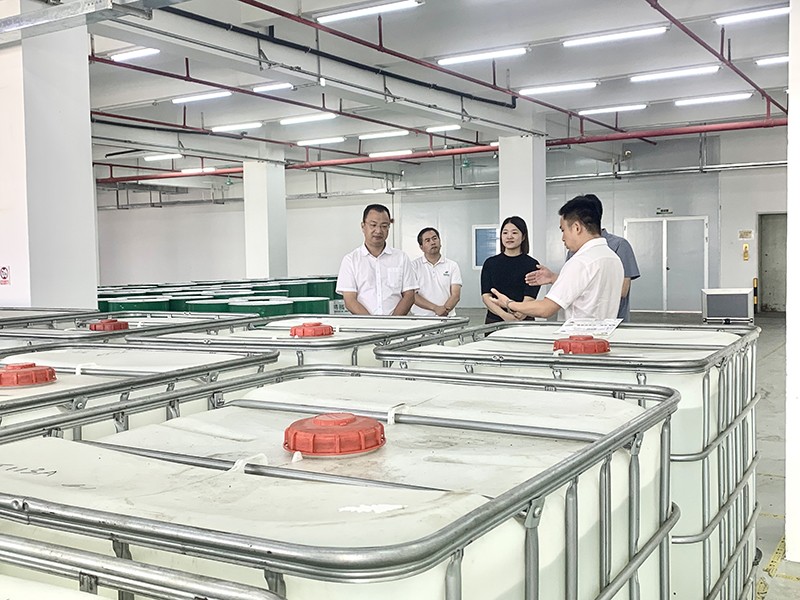 政企连心·共促发展|东莞市东城区政府领导莅临2026年国际足联世界杯新材参观指导